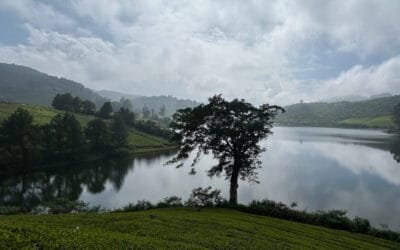Kerala Beach Tour Package