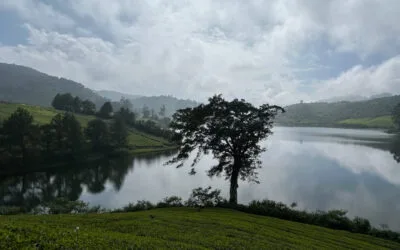 Kerala Beach Tour Package